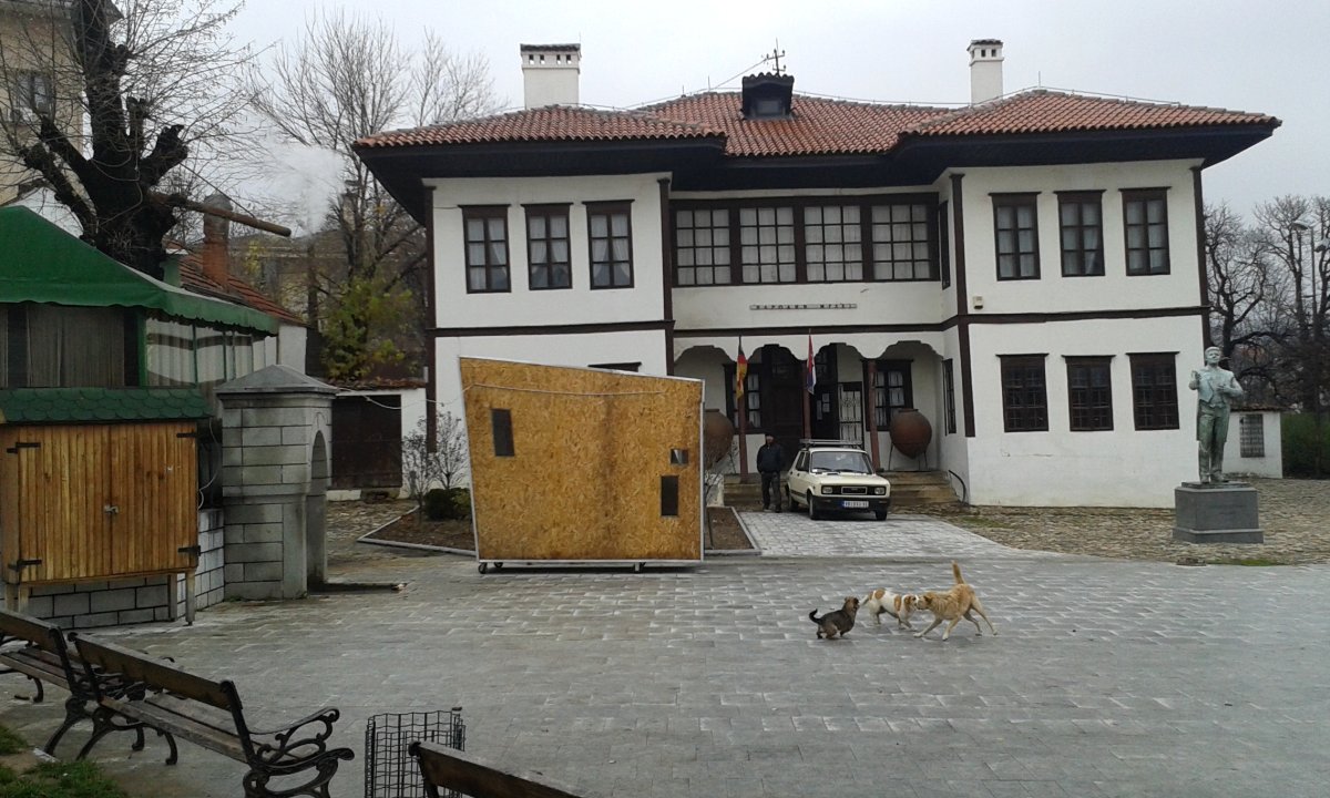 foto: Mirjana Dragosavljević