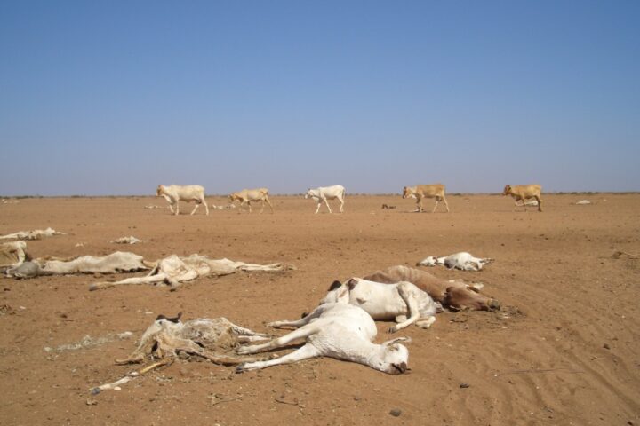 Migracije zbog klimatskih promena