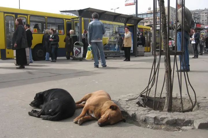 Klasna borba u autobusu: grad u službi Bus Plusa