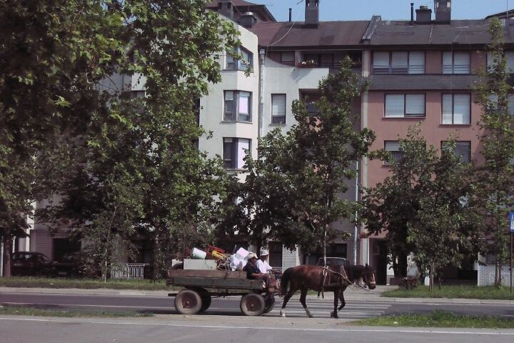Čuvari životinja – krotitelji naroda