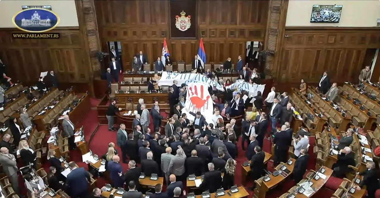 Foto: Snimak ekrana, Parlament Srbija Youtube