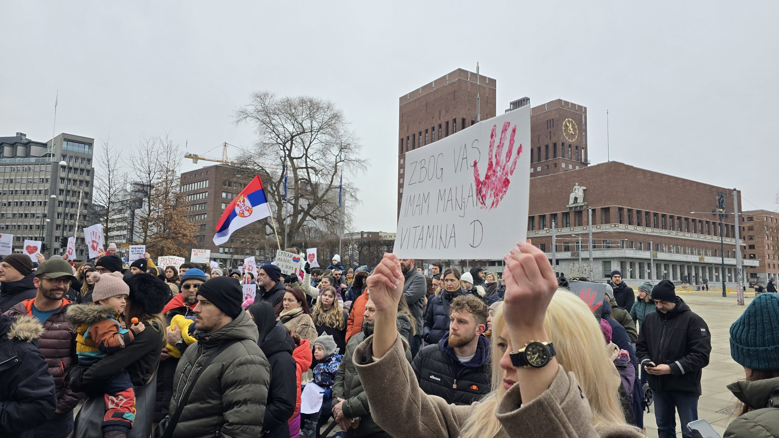 Skup podrške demonstracijama u Nišu, Oslo; Foto: Aleksandra Tanasković