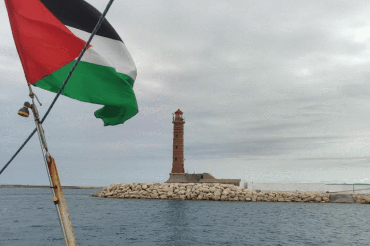 Palestinska zastava na flotili