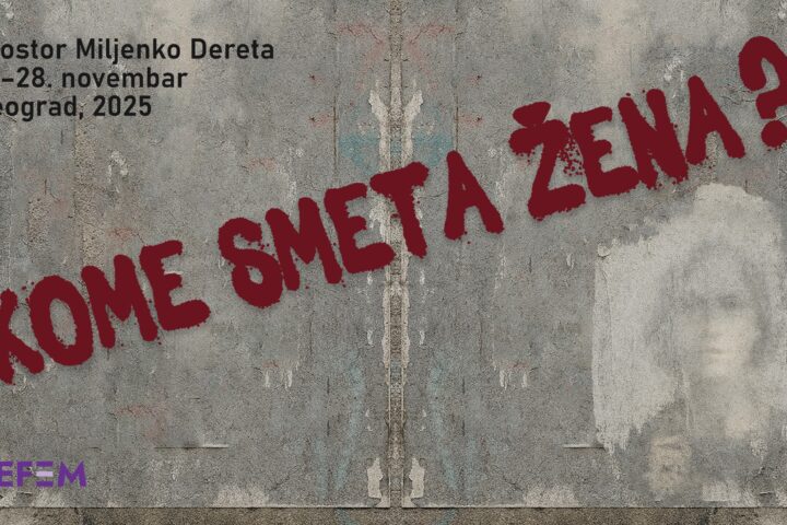 Konferencija "Kome smeta žena"