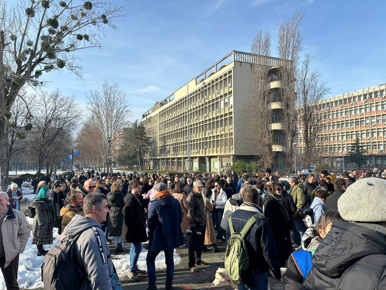 Skup podrške Jeleni Kleut; Foto: Mašina