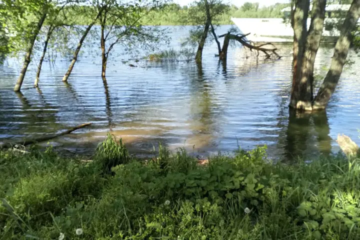 Dunav