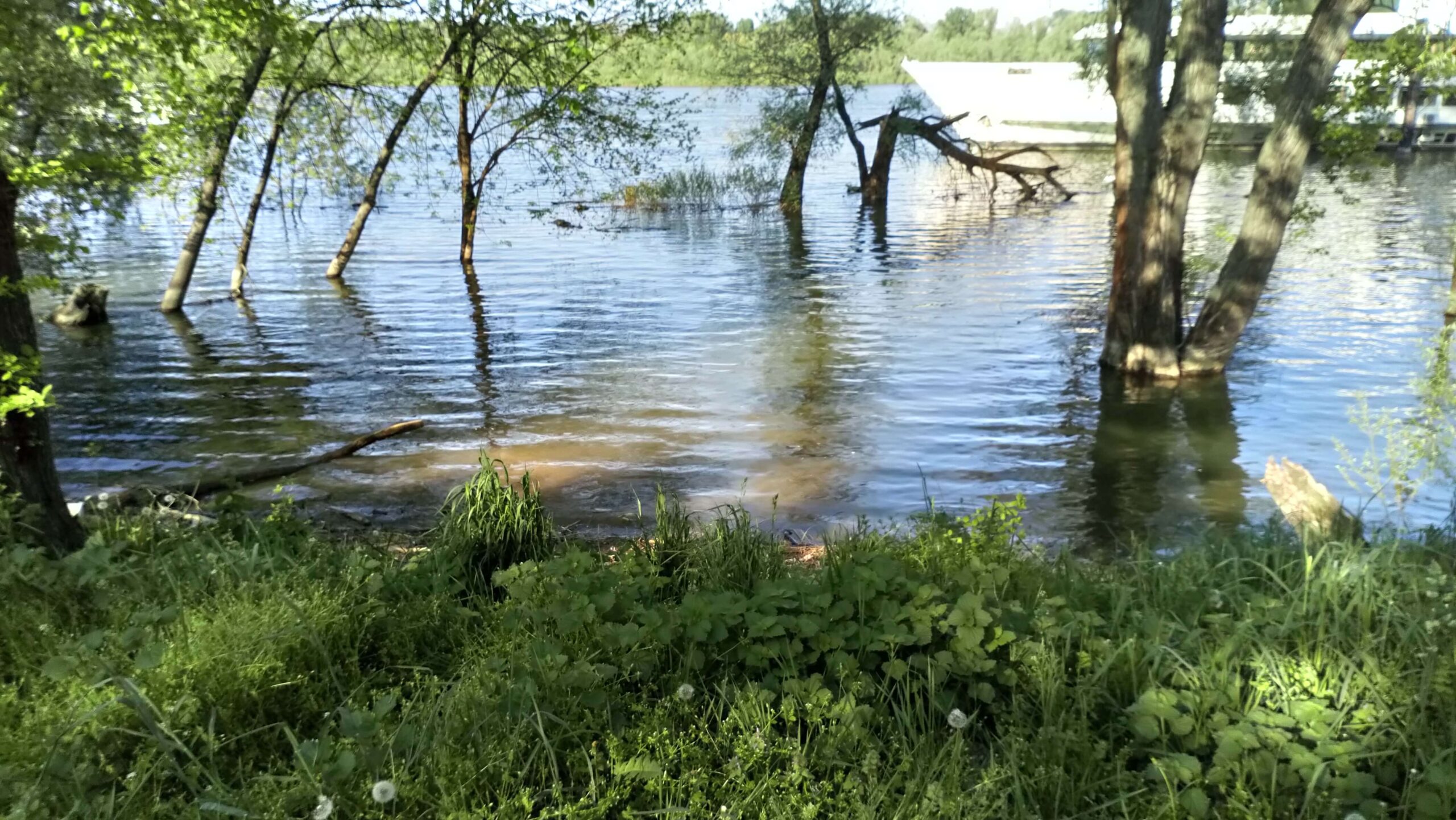 Dunav