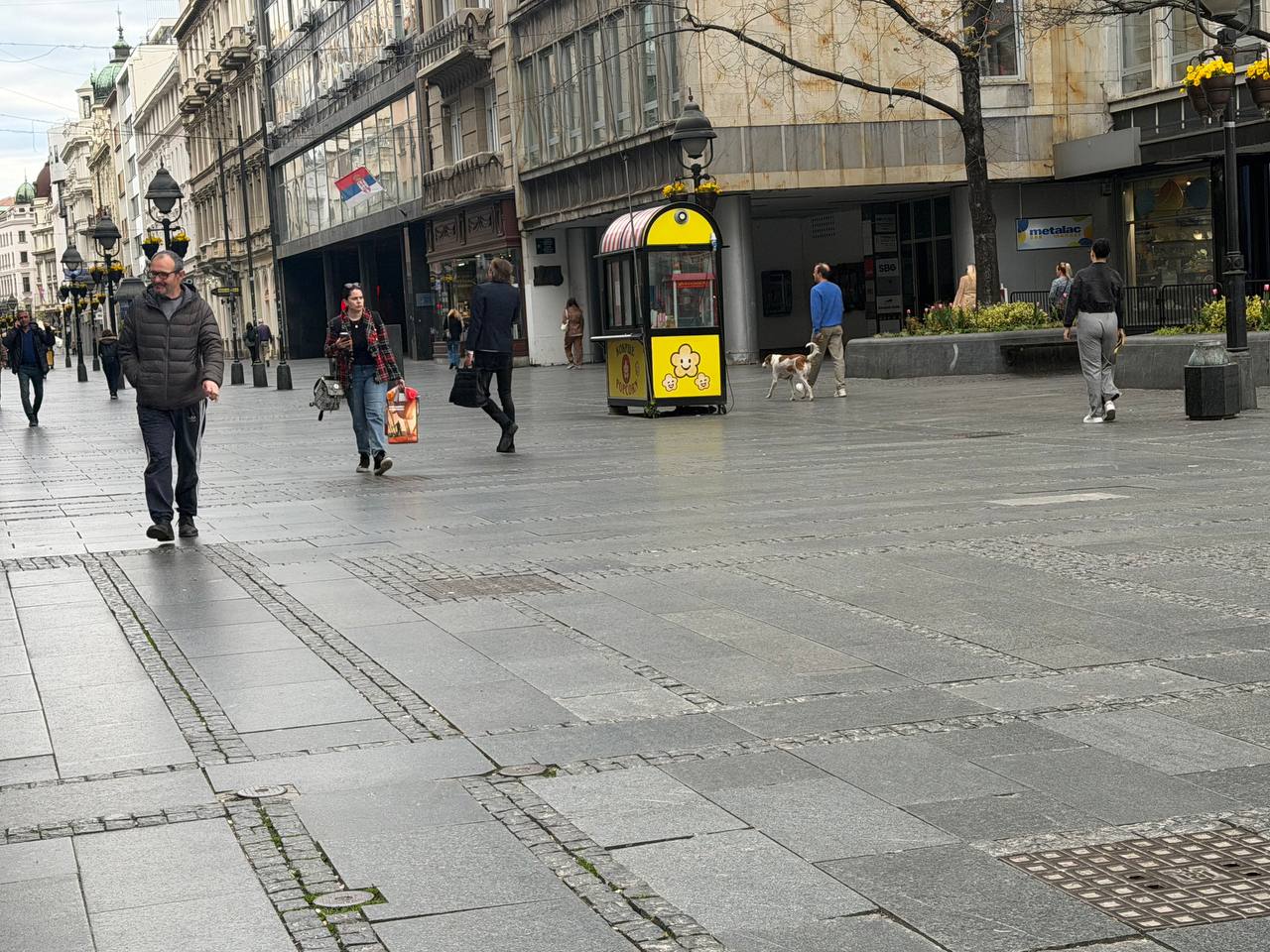 Izložba „Nadrealizam na papiru: Oko u divljem stanju“ u Francuskom institutu od 10. juna