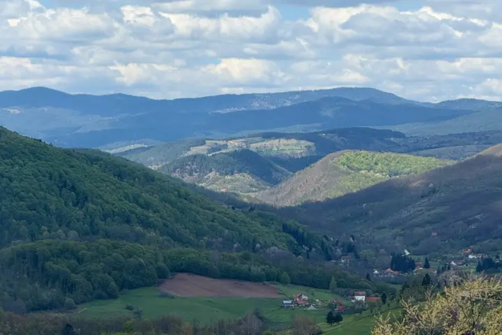 Pogled na Taru