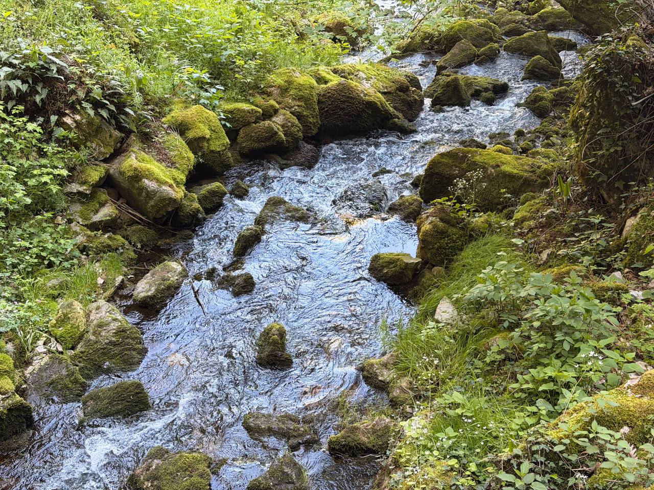 Reka Petnica