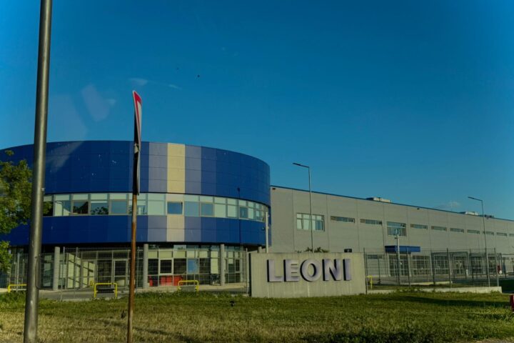 Leoni