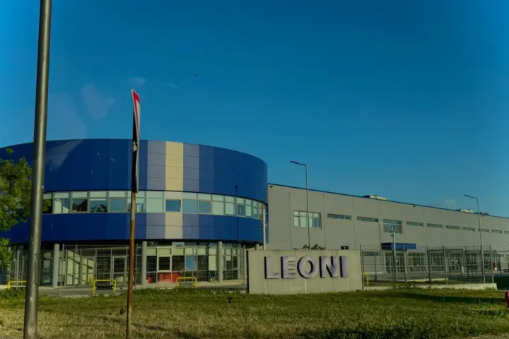 Leoni