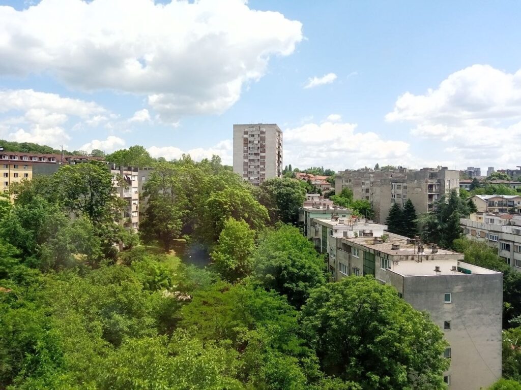 Osamdeset godina od pošumljavanja Zvezdarske šume: Istorija prirode koju ne pamtimo