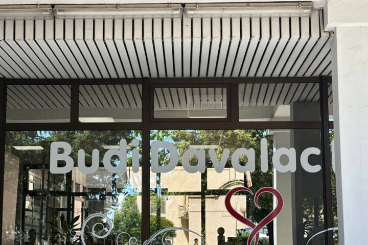 Budi davalac
