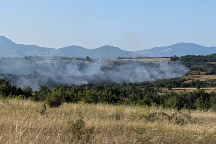 požar na malkoj golaji