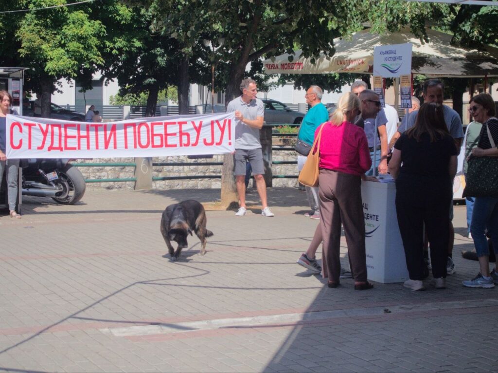 Za samo tri sata preko 2000 potpisa protiv nekontrolisanog širenja rudarskih aktivnosti oko Zaječara