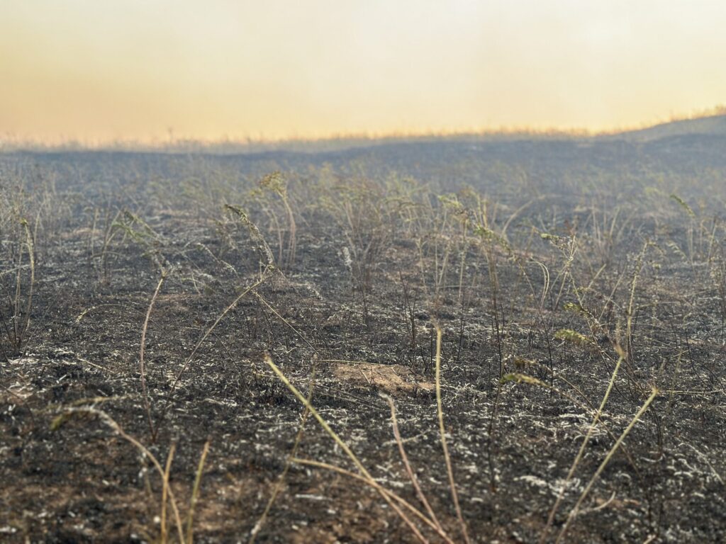 U Kladovu proglašena vanredna situacija: Vatrogasci se i dalje bore sa požarima